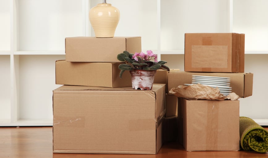 Fragile Item Moving